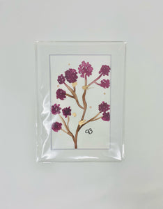 Purple flowers